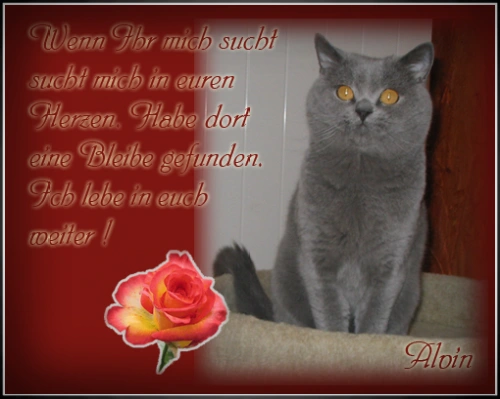 (c) by Jens Walther Alvin vom blauen Traum